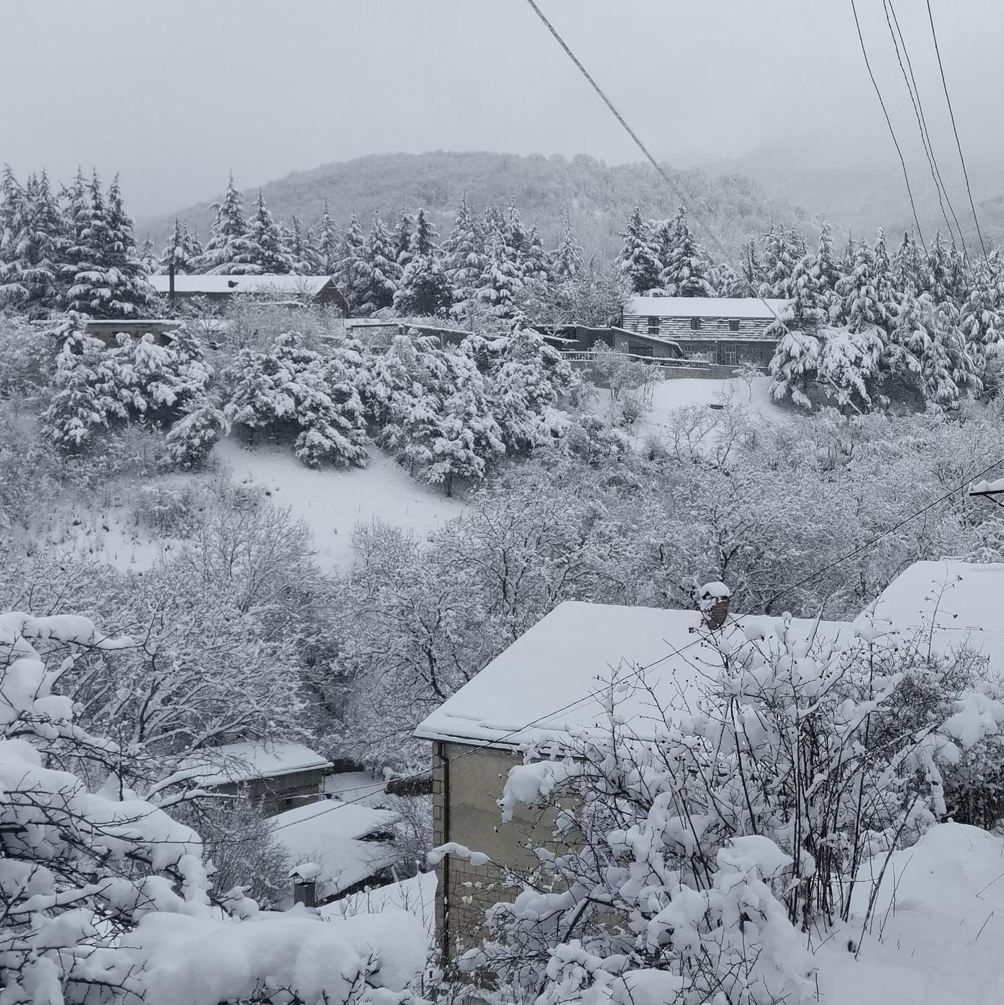 Rent House Dilijan