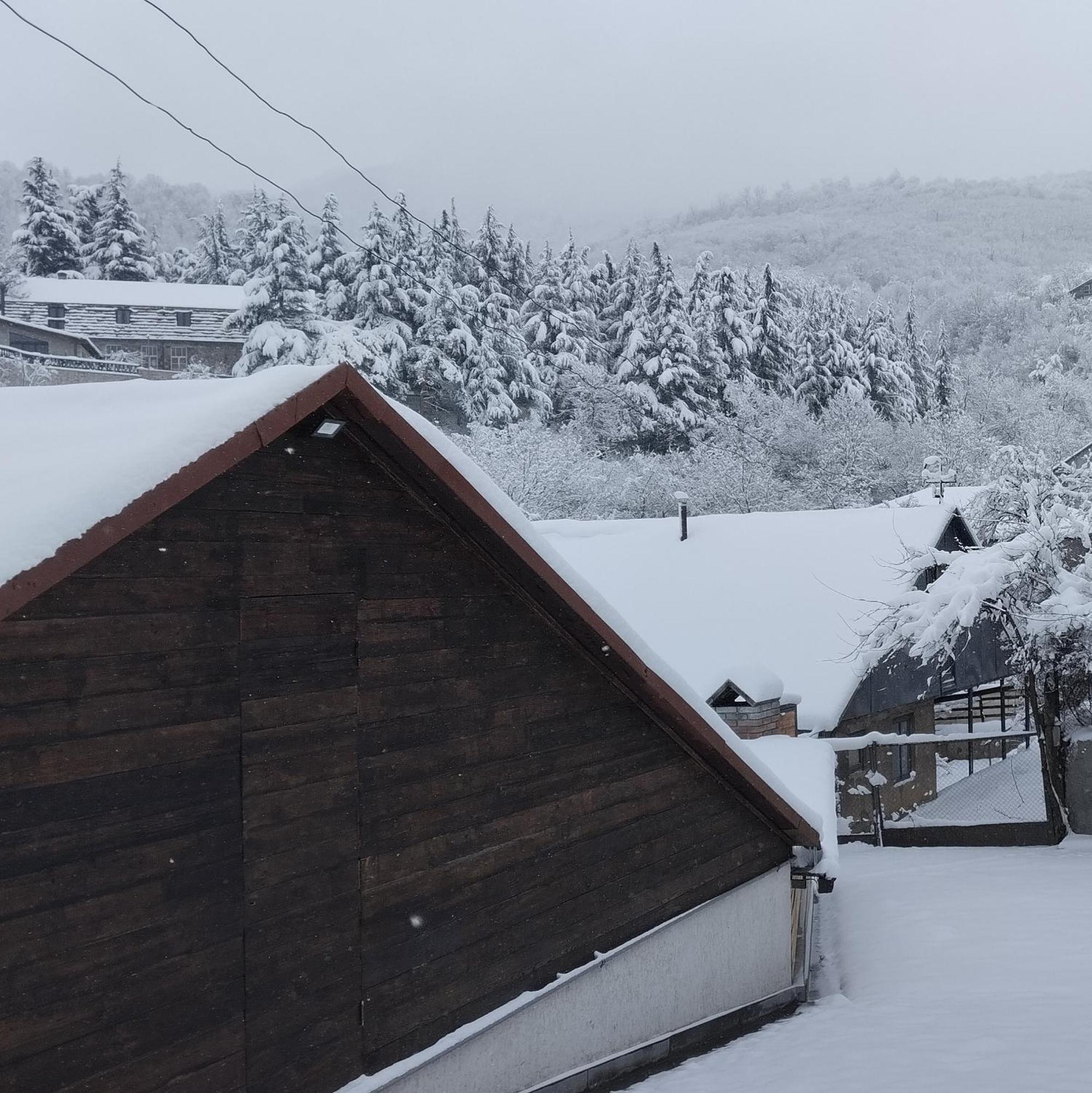 Villa Rent House Dilijan