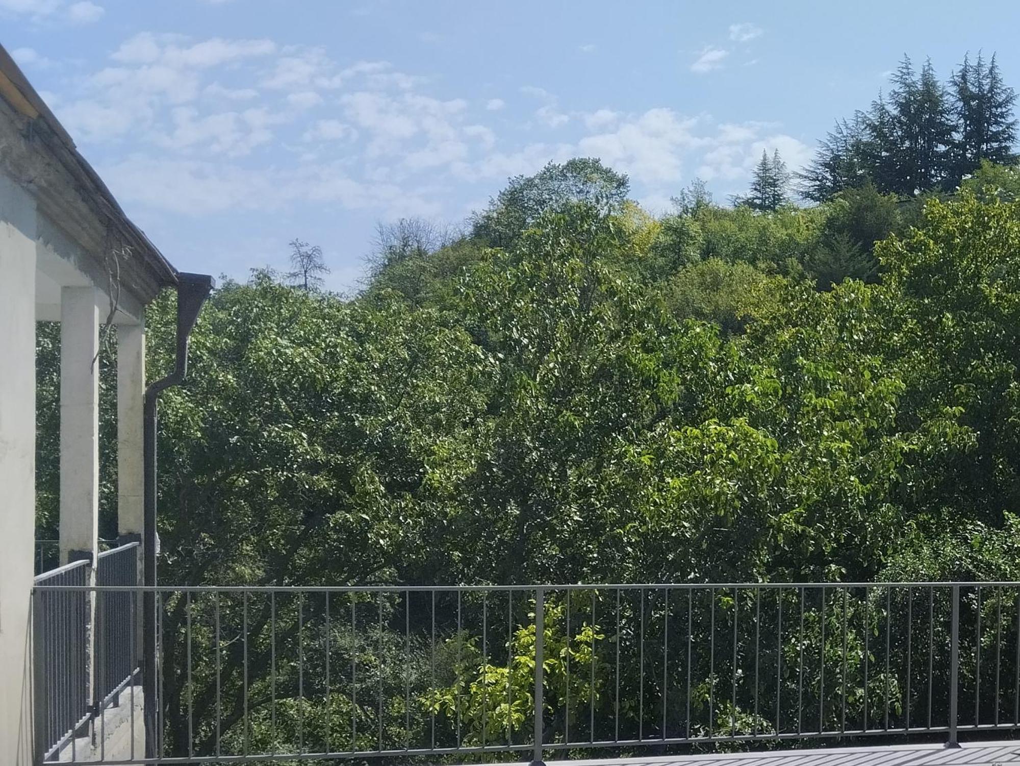 Rent House Villa